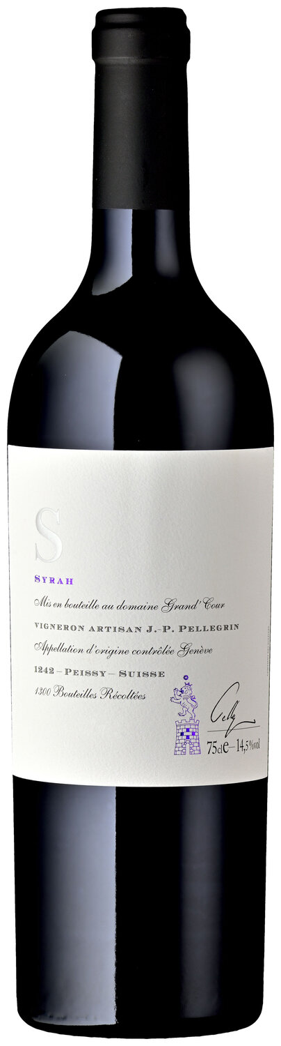 Syrah S 2020 | 2021